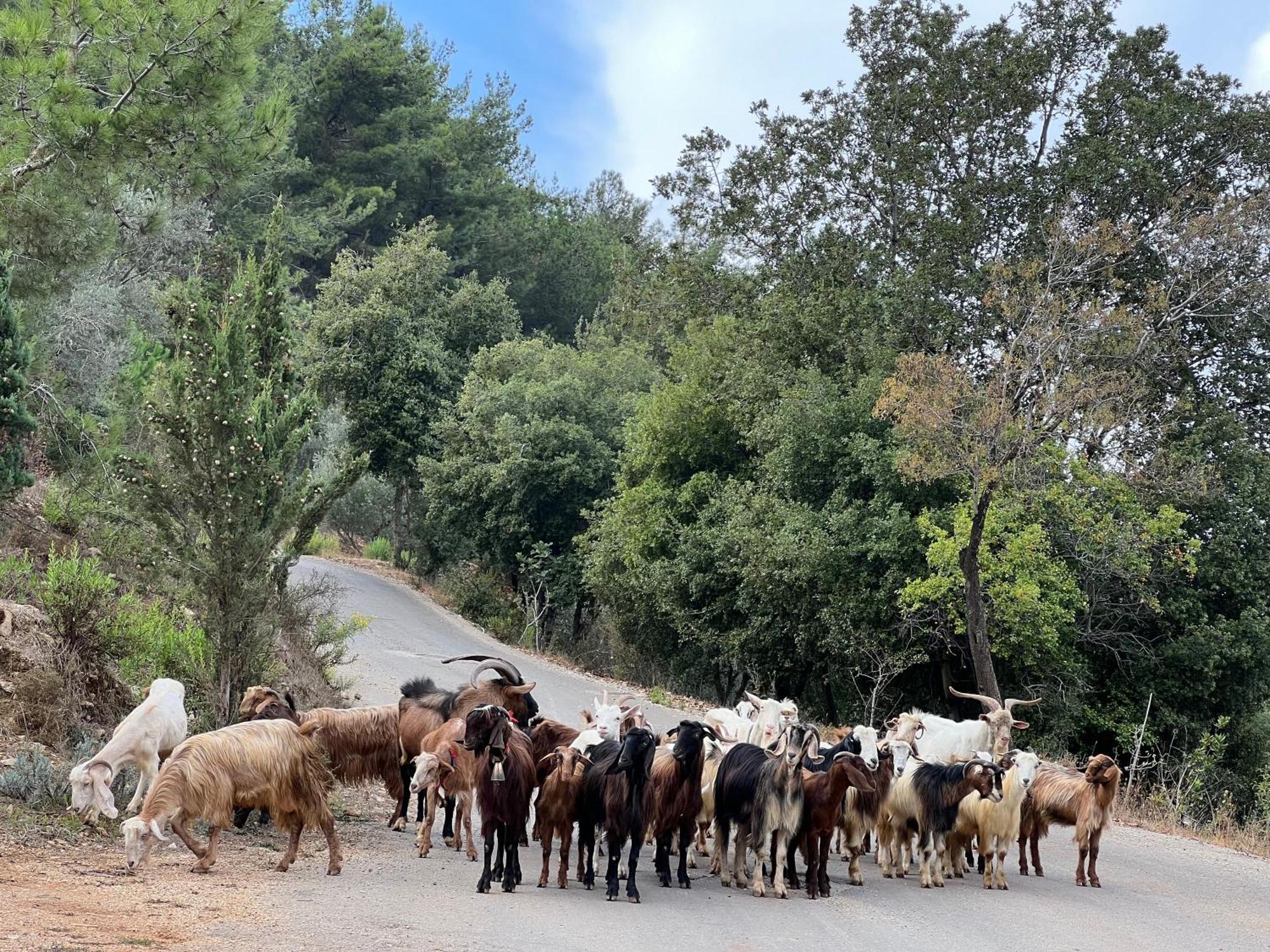 Bkerzay Ξενοδοχείο Baakleen Εξωτερικό φωτογραφία